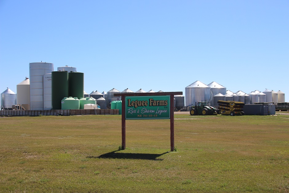 Grain Rush Leguee Farms LTD Local news